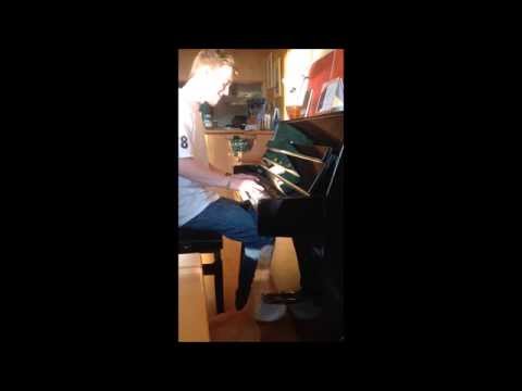funny cat fail