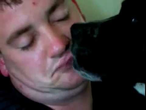 Funny Dog Giving Romantic Kiss