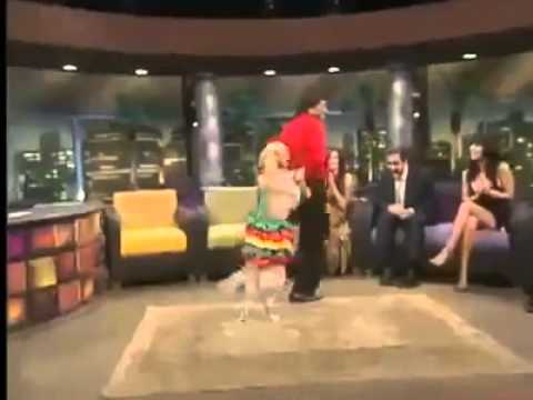 Top Funny Animal Video. (DANCING DOG)