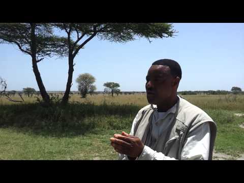 Funny Animals Sound African Safari Guide 2012