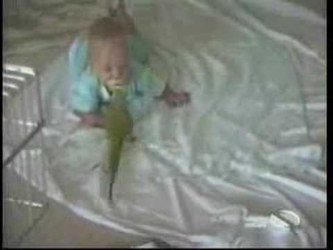 Funny children,animals……