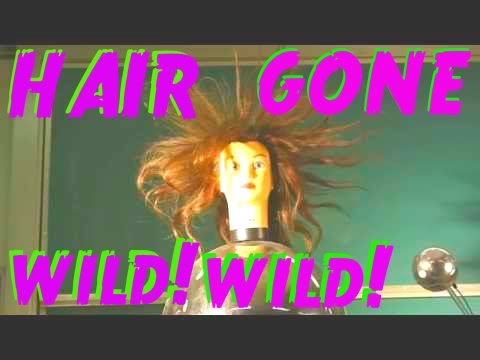 Hair~Funny Wild-Static Electricity~Dog Hair~Cat Groomer