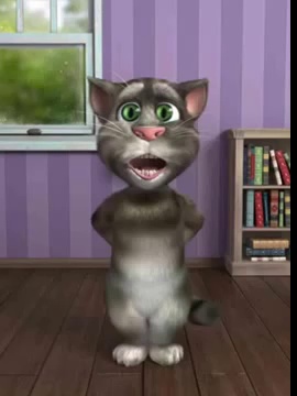 Funny Talking Cat 8