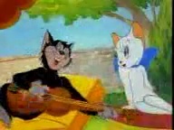 Funny Talking Cat 12