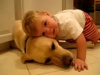 Funny videos of babies – funny pranks – funny animals
