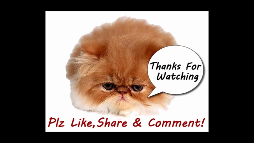 Funny Cats Video – Funny Cat Videos Ever- Funny Videos 2014 – Funny Animals Funny Animal Videos