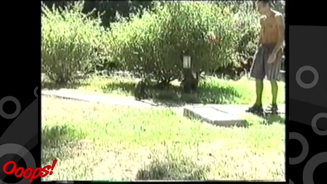 Funny Animals  Best Fail Compilations 13