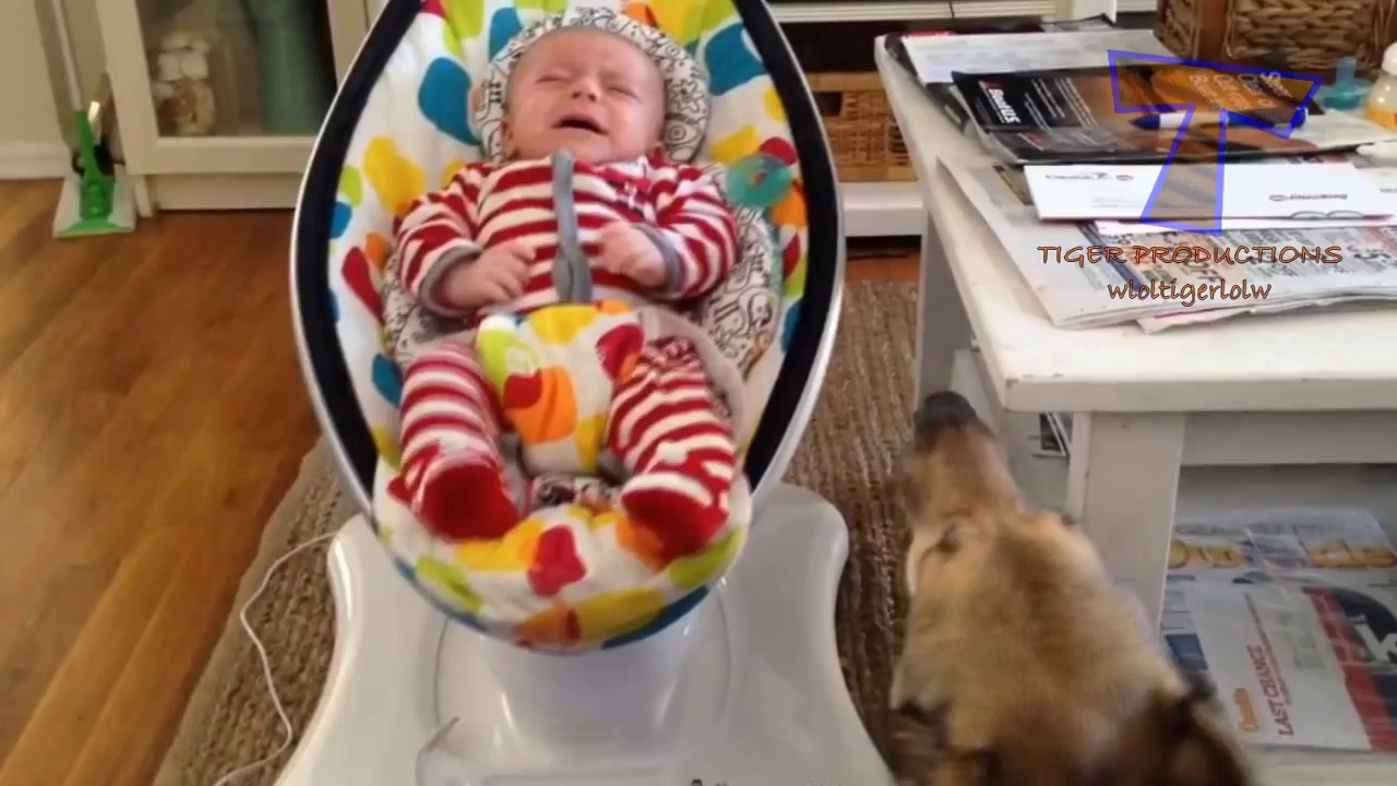Funny dogs and babies talking – Cute dog & baby compilation