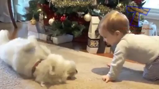 Cute babies and dogs playing together – Funny baby & dog compilation – Video Dailymotion
