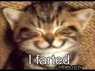 FUNNIEST KITTIES vERY fUNNY cATS 4 – Video Dailymotion