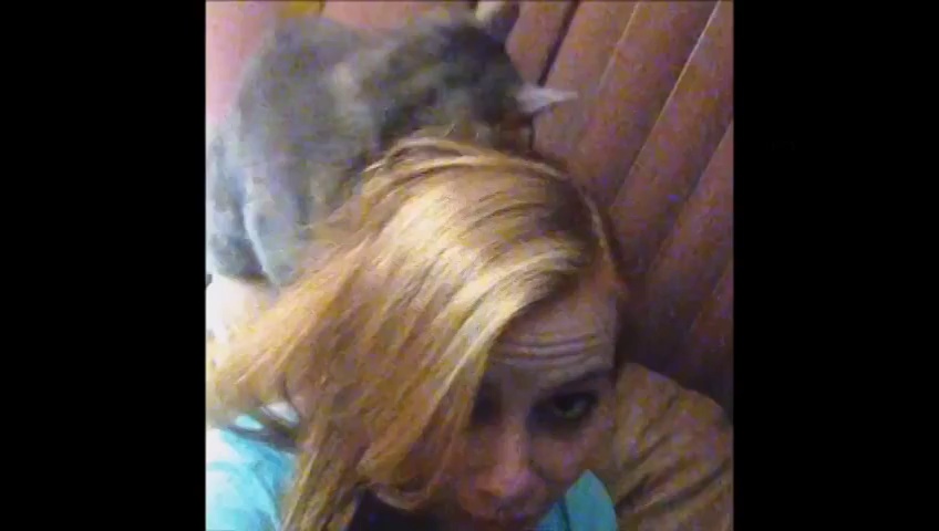 Scary Videos of Cats – Funny Cats – Funny Videos of Cats, Funny Pranks