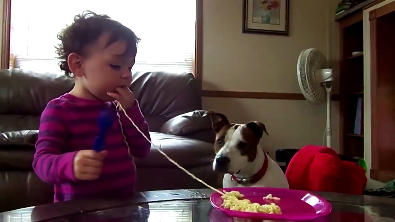 Cute Babies love Funny Dogs Compilation 2014 NEW HD latest funny video clip 2014-2015