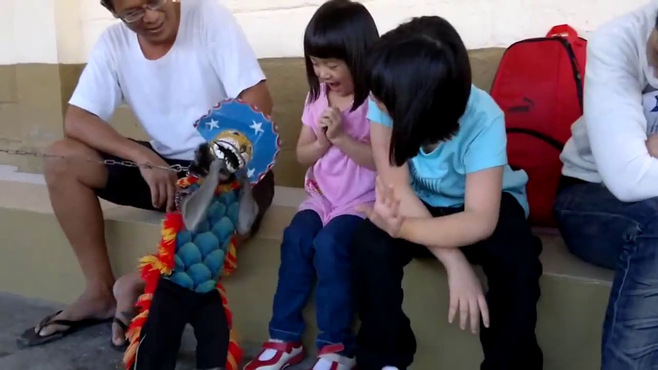 TOP FUNNY ANIMALS COMPILATION 2014 funny Animals Video Funniest Animals compilation top animal 2014