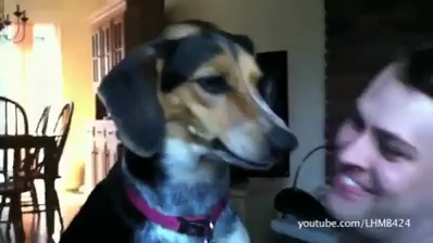 Funny Cats and Dogs Hate Kisses Compilation