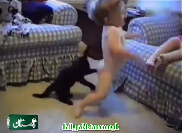 hahaha Funny animals video  (جانور کچھ بھی کر سکتا ہے)