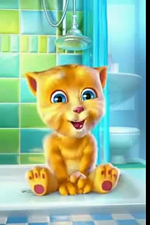Talking Tom Cat Punjabi Billi Very Funny Video